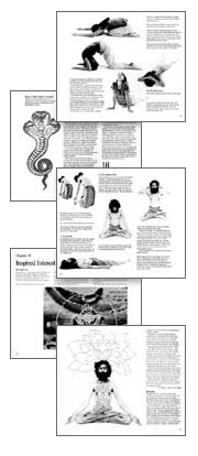 Yoga Tantra And Meditation In Daily Life Haa International Retreat
