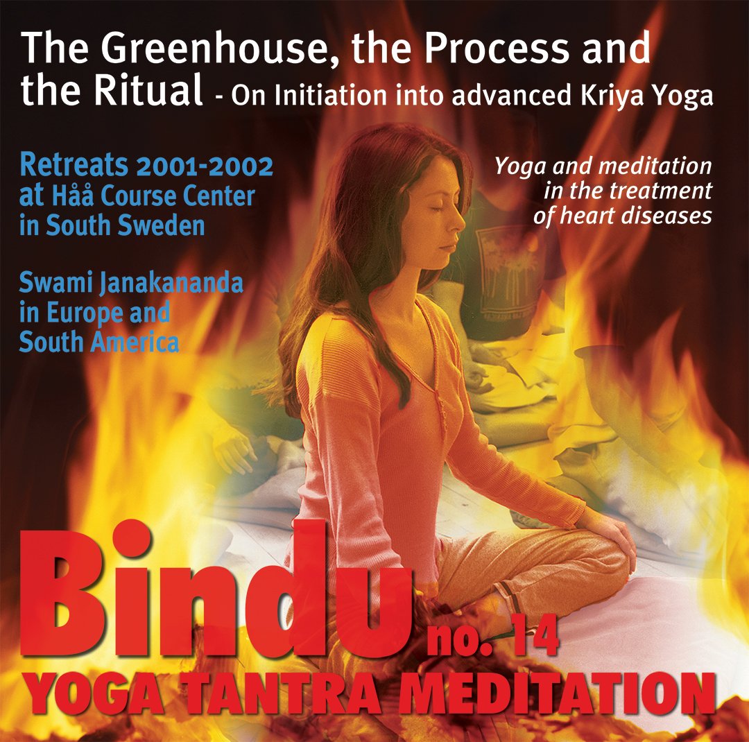 Bindu30-cover