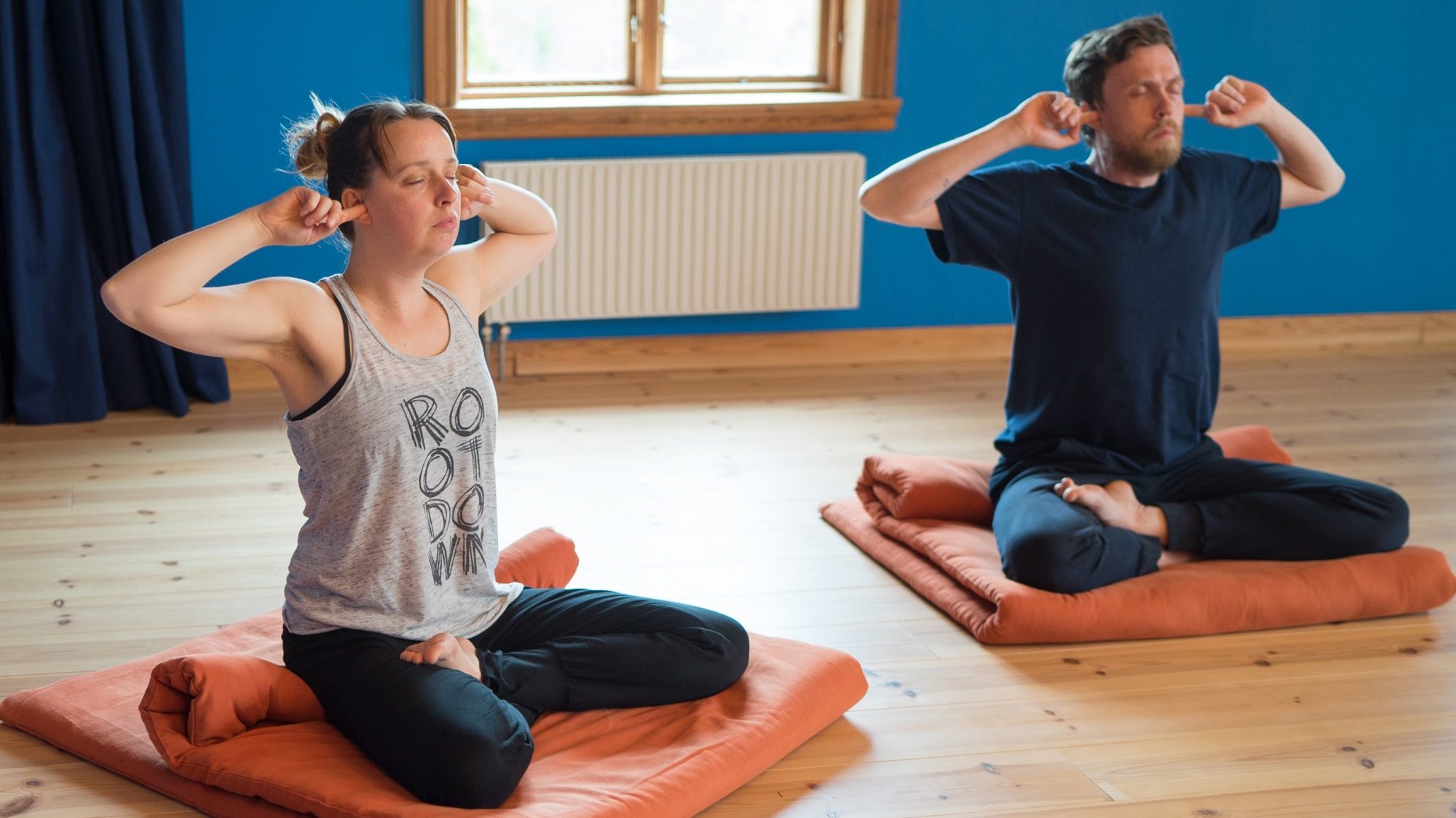 Bhramari the Bumble Bee Scandinavian Yoga & Meditation School