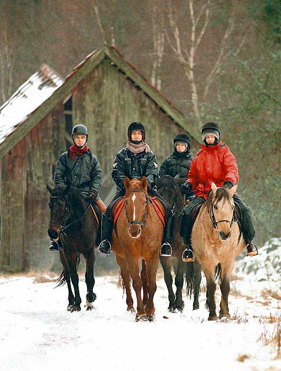 snow-horses1